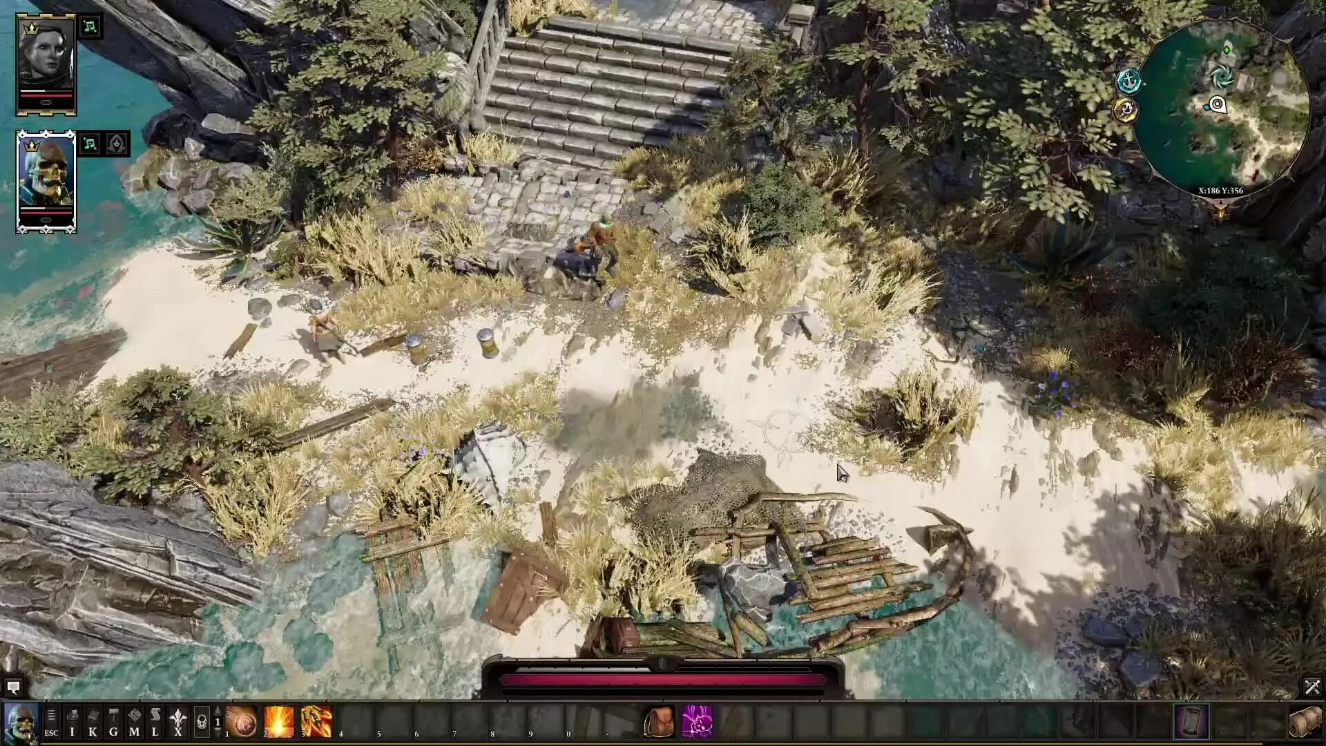 Divinity original sin 2 зверь. Divinity original sin 2 геймплей. зверь дивинити. дивинити ориджинал син 2 зверь. divinity original sin 2 кооператив.