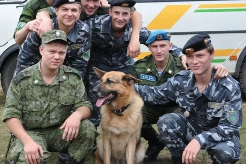 Пограничник российские войска пограничные войска россии. Лошади на службе пограничников. Российские пограничники. Одноклассники пограничника. Одноклассники пограничника.
