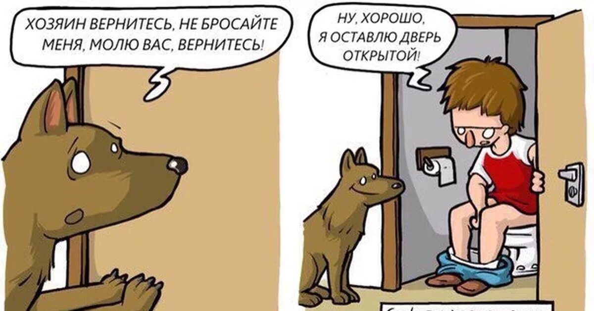 Глупый хозяин