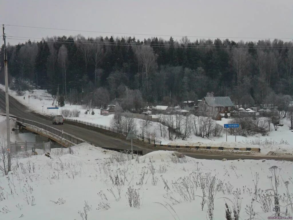 Погода в андрейково рузский. Погода в андрейково рузский. Река покша кострома. Деревня андрейково. Большое андрейково ярославская область.