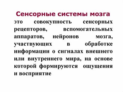Сенсорные системы мозга