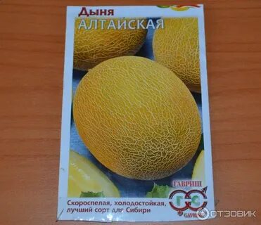 Дыня алтайская описание сорта