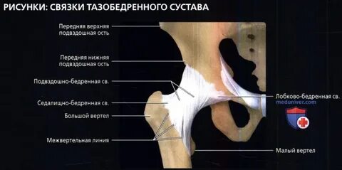 Растяжение тазобедренных связок