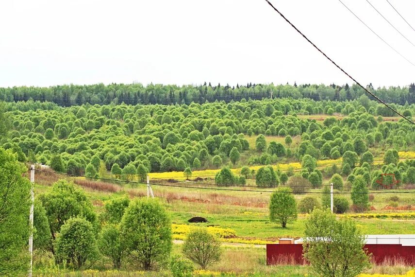 Поселок сосново. Дачный поселок ивановское. Яхрома ривер тсн. Яхрома коттеджный поселок. Дачный поселок ивановское.