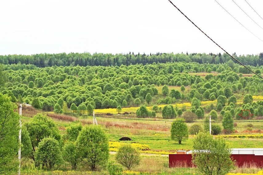 Деревня Яхрома Дмитровский район. ТСН Яхрома Ривер. Деревня Ивановское Дмитровский район. Дачный поселок Ивановское Дмитровский район. Купить земельные участки в дмитровском