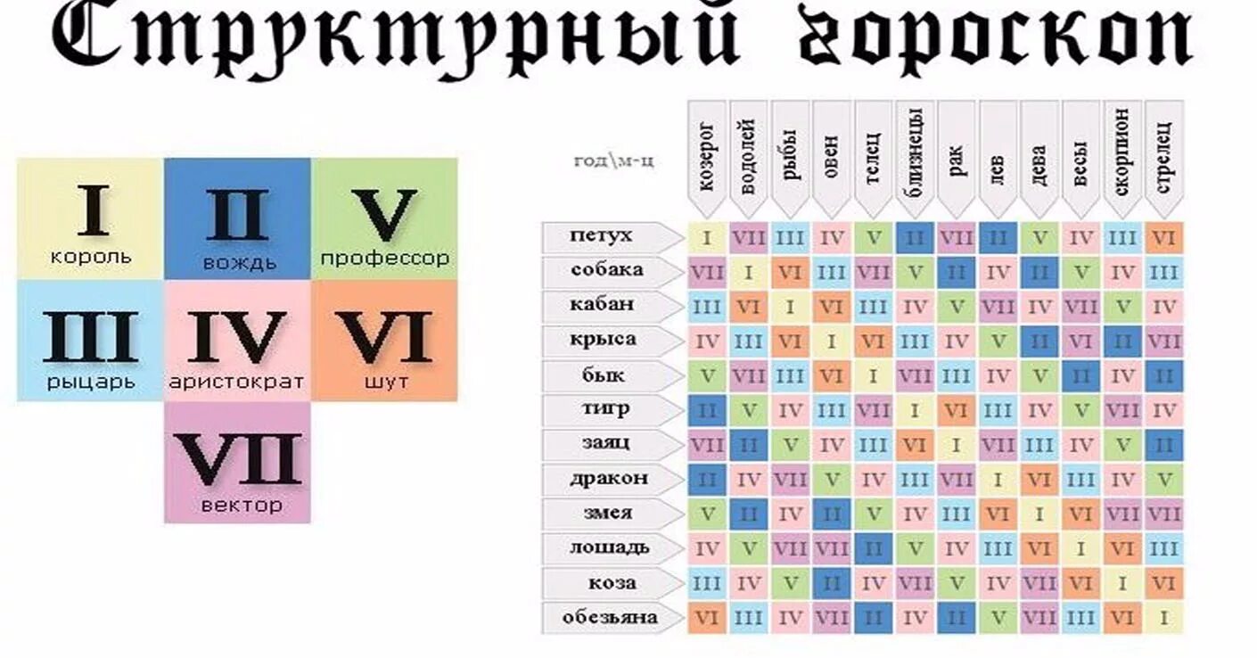 Вектор Шут Король профессор таблица. Гороскоп профессор вождь Король вектор Шут рыцарь Аристократ. Гороскоп рыцарь Шут Король. Гороскоп вождь Шут Король.