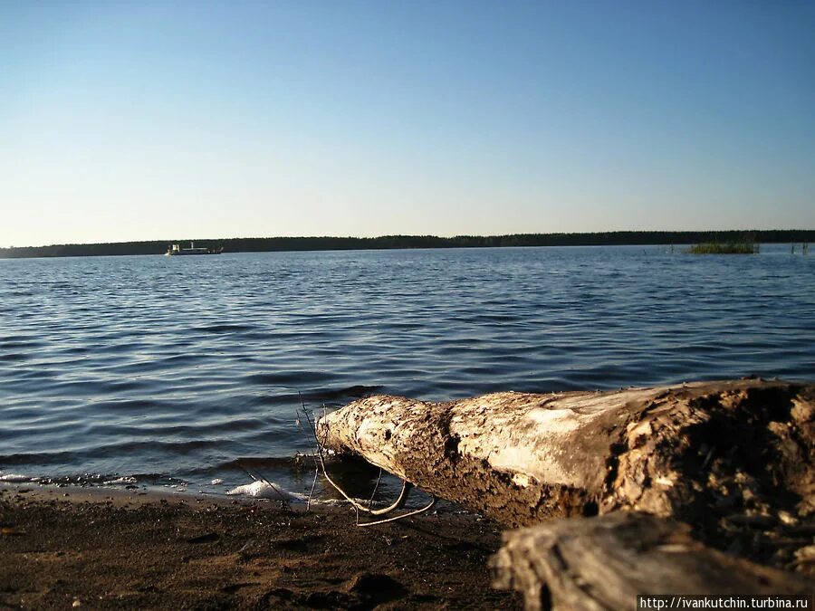 Белая Холуница водохранилище. Белохолуницкий пруд. Белая Холуница пруд. Белая Холуница озеро.