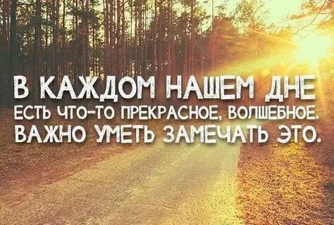 Неделя афоризмы