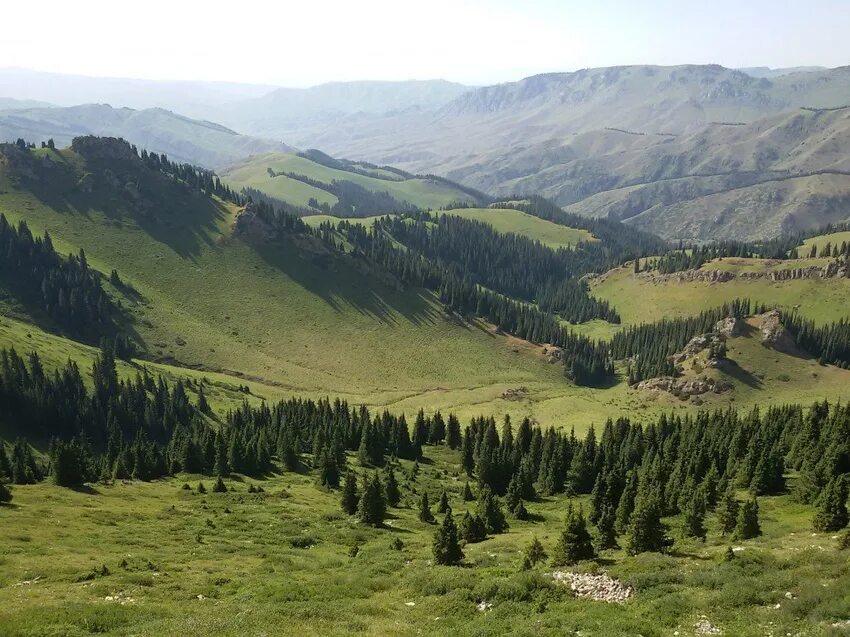 Саты д