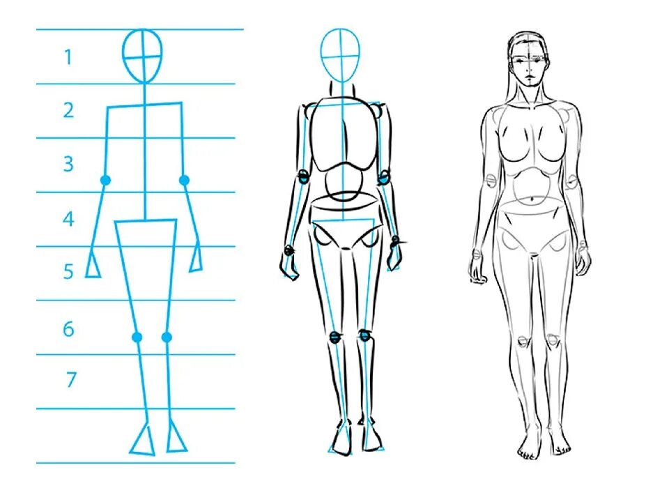 Фигура человека рисунок. Схема рисования человека. Рисунок человека в полный рост карандашом. Тело человека для рисования.