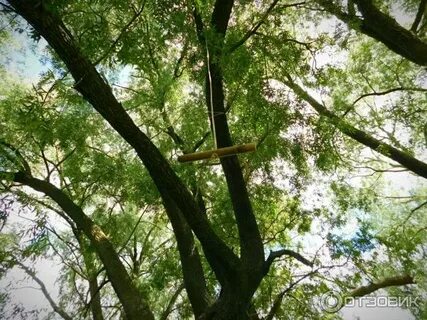 Экопарк колокша владимирская