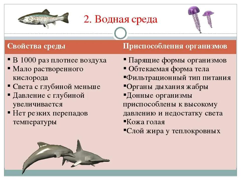 Особенности строения водных животных