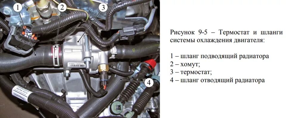 Система охлаждения двигателя гранта 16 клапанная. Схема системы охлаждения лады весты. Система охлаждения двигателя весты. Система охлаждения двигателя на гранте 8 клапанной. Система охлаждения двигателя весты.