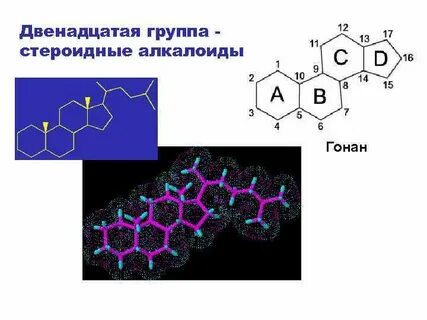 Стероидный профиль слюны