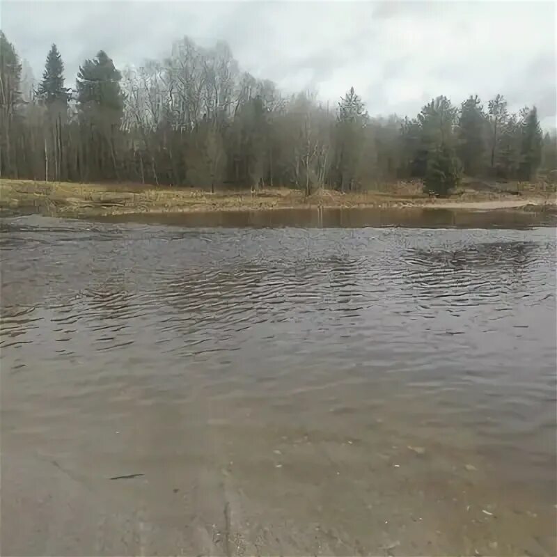 Сельское поселение кемское. Прокшино зима. Погода в прокшино вологодская. Наволок вологодская область. Деревня прокшино вологодская область.