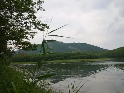 Погода в троицком ханкайский