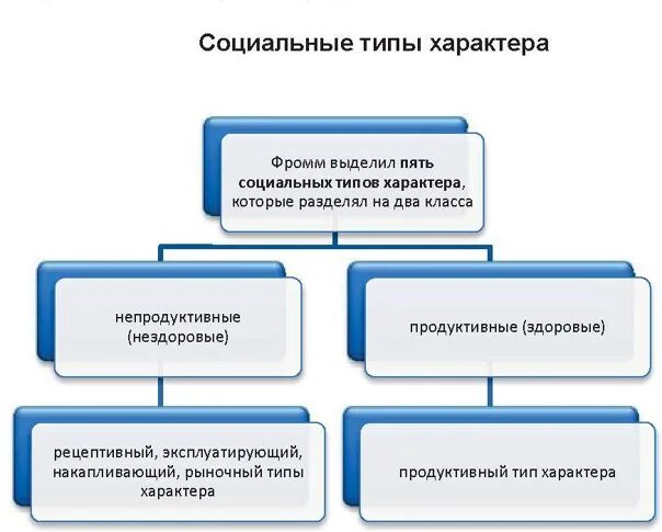Социальные функции человека примеры Презентация на тему: "Введение в курс "Теория КСО" Междисциплинарные связи.". Ск