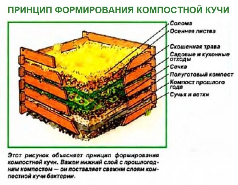 Чертеж компостной ямы. Компостная яма схема слоев. Компостная яма перегноя. Трёхсекционная компостная яма. Условие кучи