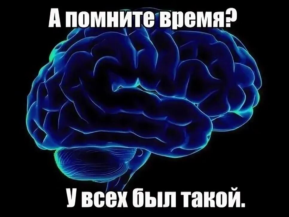 Надмозг. Мозг Мем. Мозг Леры. Мемы про мозг.