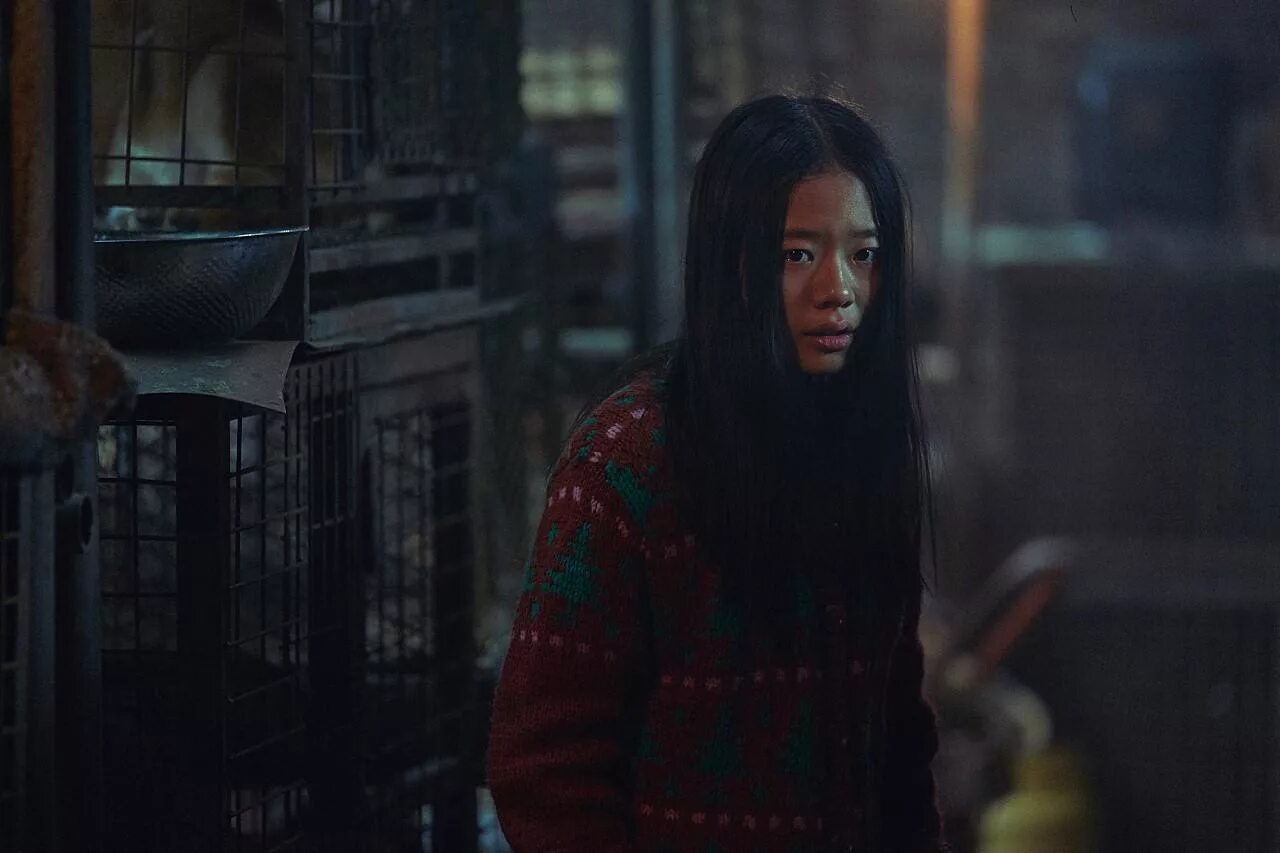 сваха фильм корея. сваха корея. сваха корея. сабаха фильм корея. цветы войны фильм.