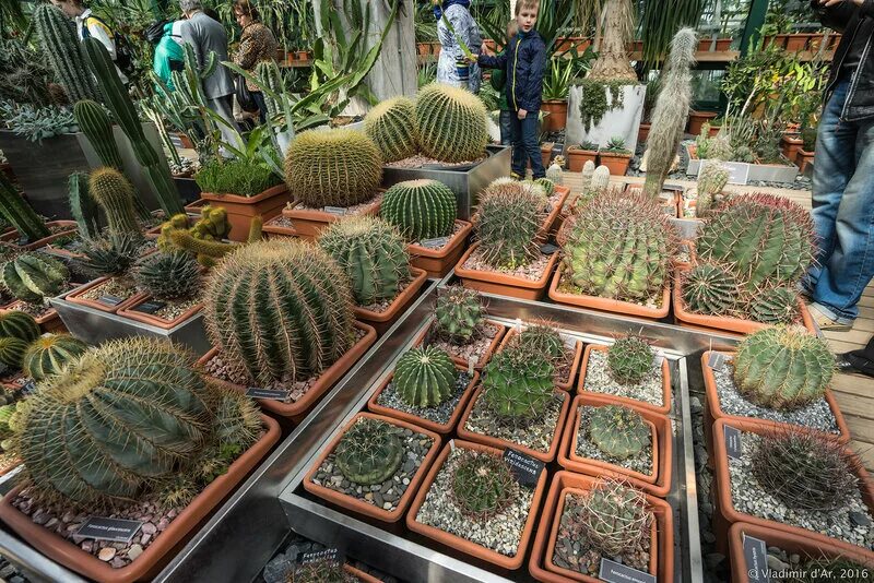 Огородик пряных трав. Грядка часы работы. Подвесные грядки для зелени. Русский огород щёлково. Ограждение для грядок.