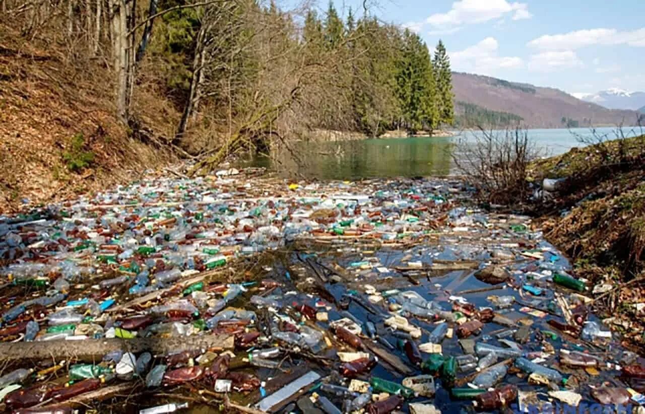 Загрязнение лесов и рек. Загрязнение рек. Речка с мусором. Свалка на берегу реки.