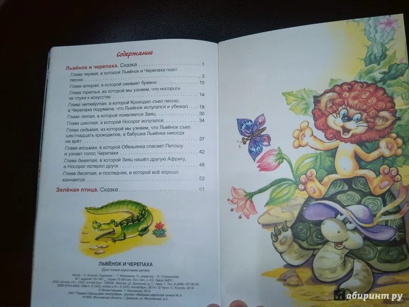 Жанр произведения черепаха. Львенок и черепаха книга.