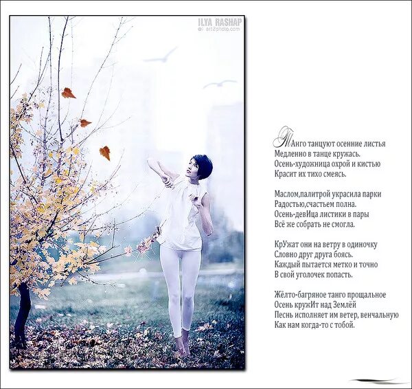 Стих осенний танец. Жизнь похожа на позднюю осень Автор. Стихотворение танец листьев про осень. Белый танец стихи.
