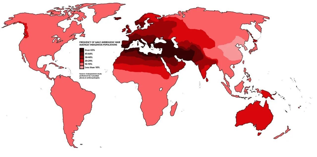 Карта мир мужчина. Распространение рыжих волос карта. Распространение волосы.