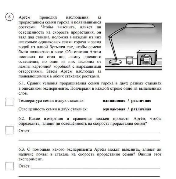 Какие измерения и сравнения надо сделать антону. Какие измерения и сравнения должен провести. как влияет освещенность на скорость прорастания семян.