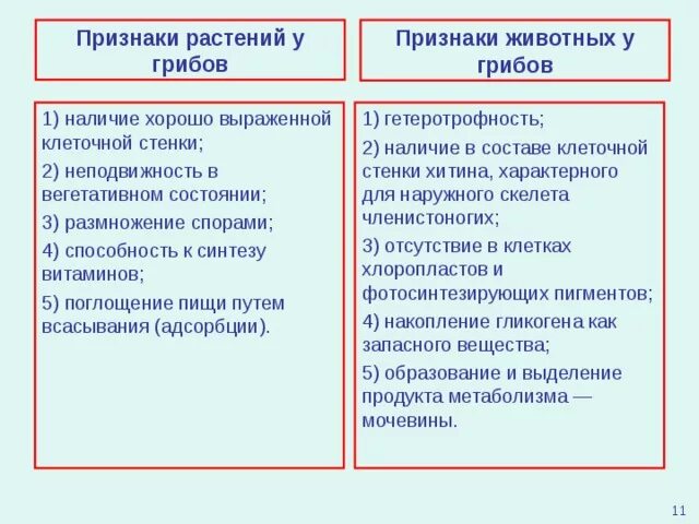 Растительные признаки грибов. Таблица признаки грибов. Общие признаки грибов растений и животных. Общие признаки грибов с животными. Признаки растений и животных у грибов.