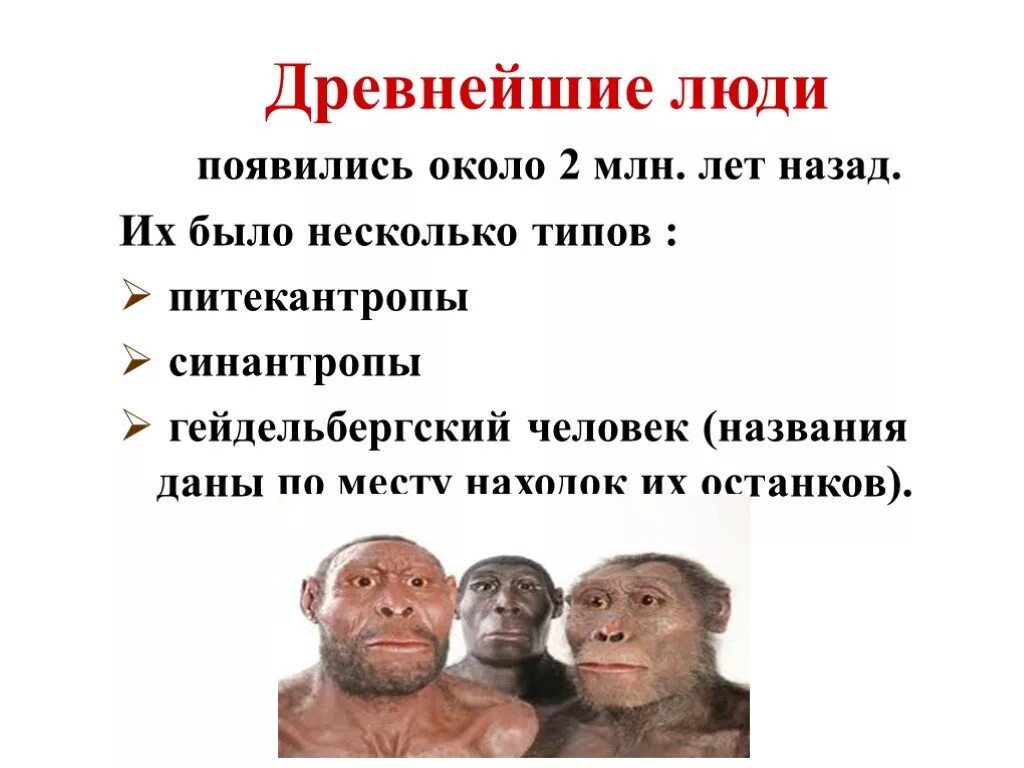 Сколько лет назад возникла. Древние люди виды. Древнейшие люди появились. Название древних людей. Питекантроп синантроп Гейдельбергский человек.