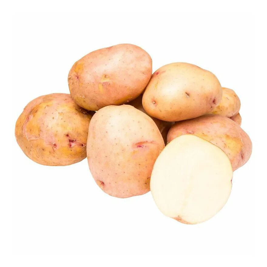 Картофель семенной Синеглазка. Сорт картофеля Синеглазка (Ганнибал). Сорт картофеля Синеглазка. Сорт картошки Синеглазка.