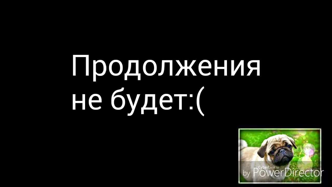 Продолжения не будет. Продолжения не будет Мем. Конец продолжения не будет. А продолжение будет картинки.