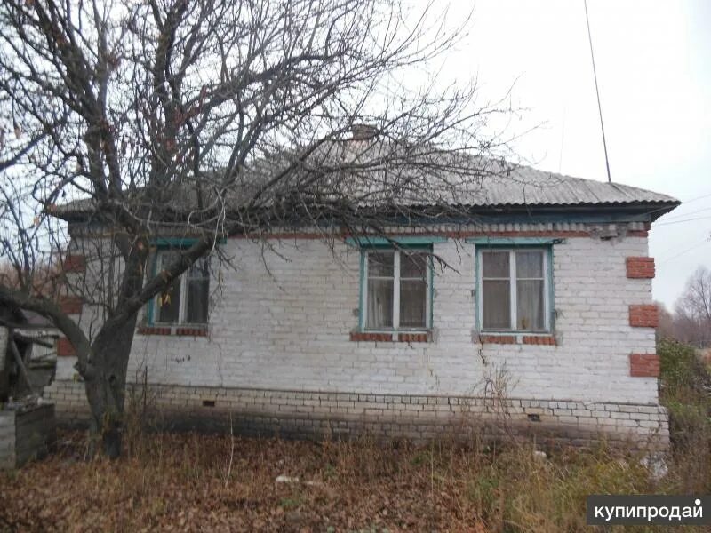 Волгоградская область квартира. Хутор фоминский новониколаевский район волгоградской области. хутор фоминский волгоградская область. дома в новониколаевской. новониколаевский газовый участок.