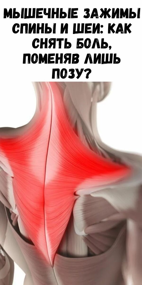Растяжка трапециевидной мышцы шеи. Упражнения для верхней части спины. Молочная кислота в мышха. Мышечный убрать. Мышцы шейно-воротниковой зоны.