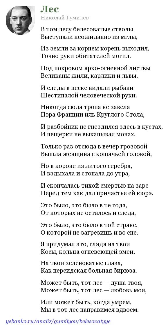 Анализ стихотворений н гумилева. Стих Гумилева лес. Стихи Гумилёва лес.