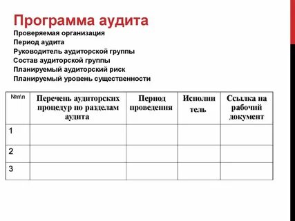 План и программа аудиторской проверки
