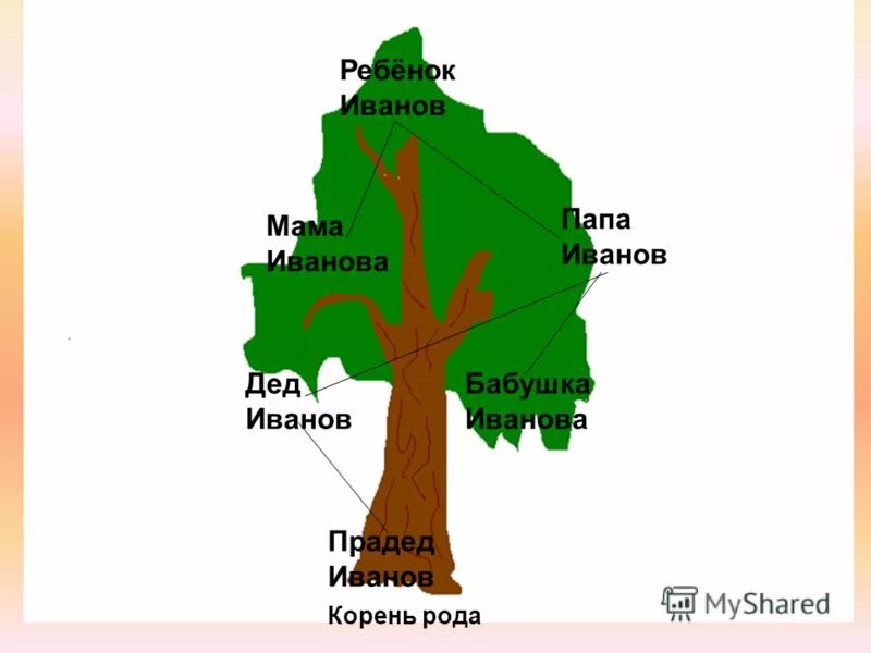 Род корневых 8. Дерево с однокоренными словами. Дерево с однокоренными словами рисунок. Дерево однокоренных сад. Дерево однокоренных слов дед.