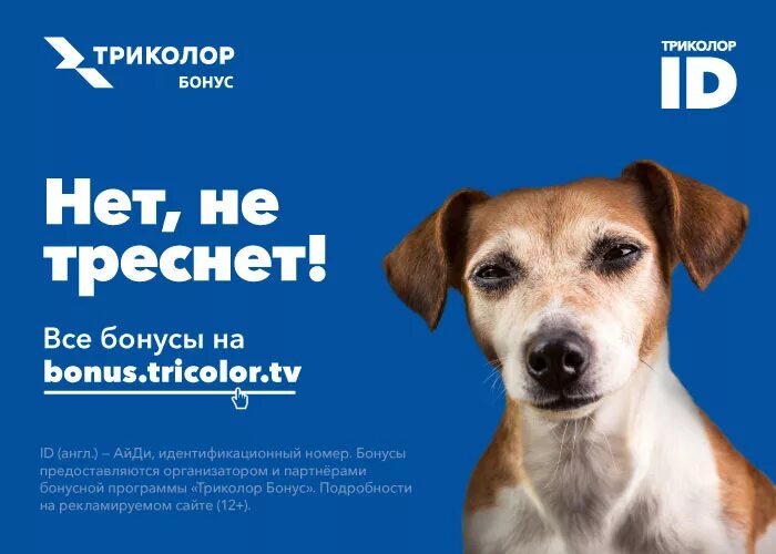 Приложение триколор тв. Приложение бонусное в приложение. Реклама в приложении триколор. Триколор кино и тв. Триколор приложение для андроид.