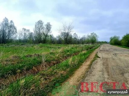 150 соток
