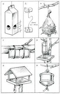 Как сделать кормушку для птиц своими руками: оригинальные идеи и чертежи