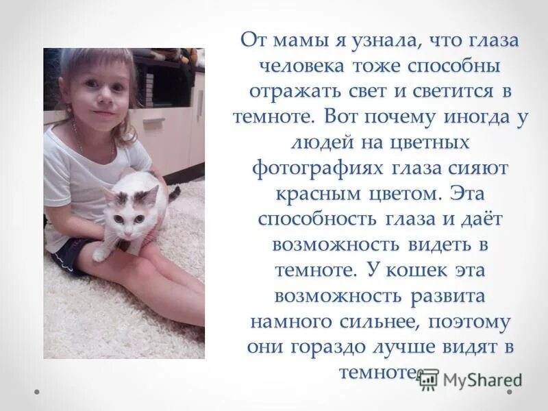 Светящиеся глаза в темноте на концерте. Почему у людоедов светятся глаза в темноте. Почему у людоедов светятся глаза в темноте. Почему у людоедов светятся глаза в темноте. Почему у людоедов светятся глаза в темноте.