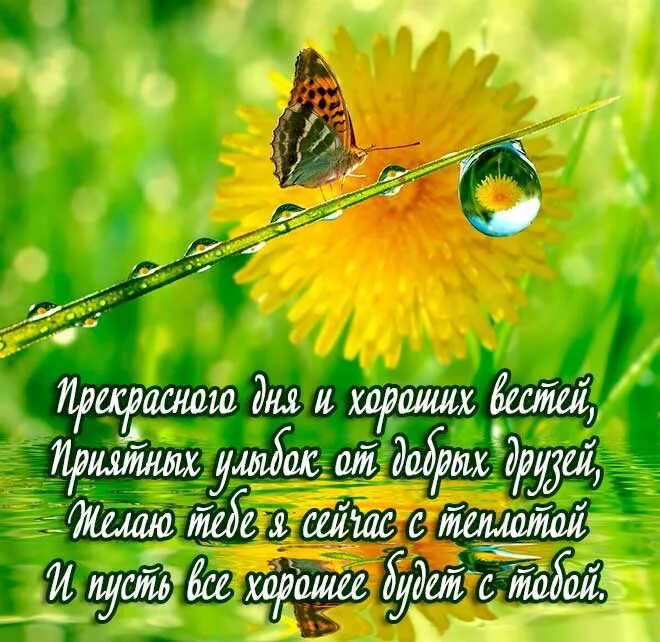 Красивые пожелания на каждый день. Поздравления на каждый день короткие. Хорошие пожелания на каждый день. Добрые пожелания на каждый. Короткие поздравления с добрым