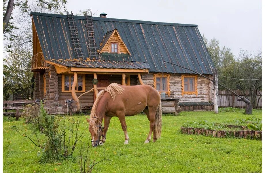 Сафари парк лесные угодья калуга. Сафари парк лесные угодья калуга. Сафари парк лесные угодья калуга. Сафари парк лесные угодья калуга. Лесные угодья сафари.