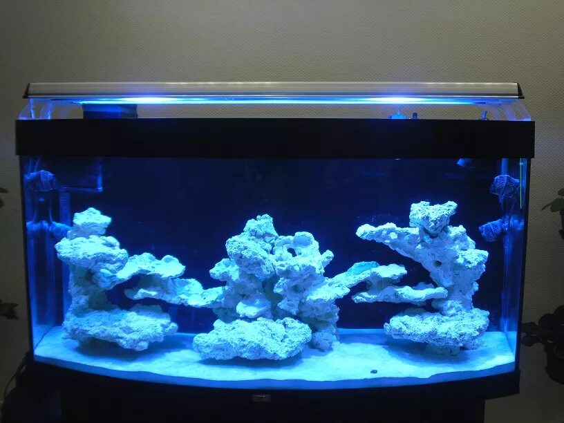 Reefcentral. Морской аквариум. Камни для аквариума. Морской аквариум камни. Искусственные камни для морского аквариума.