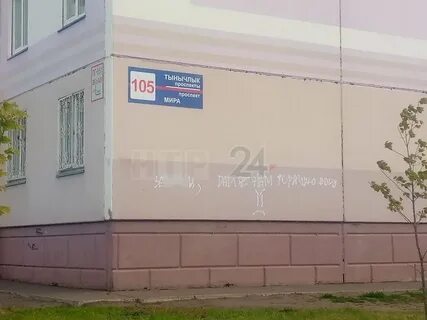 Нтр 24