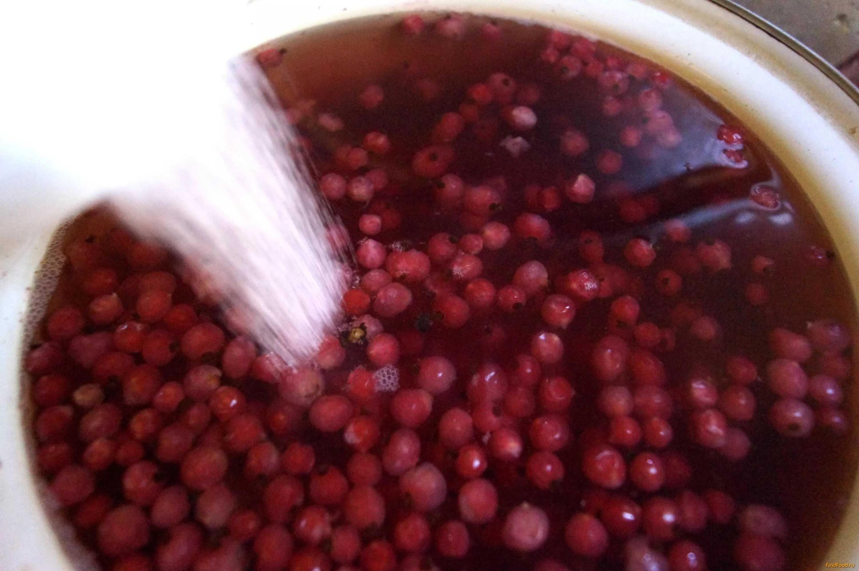 Как сварить компот из смородины. Компот красная смородина малина. Компот из чёрной смородины в кастрюле. Компот черная смородина. Компот из смородины.