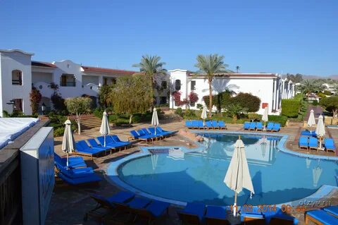 Sharm dreams resort шарм эль шейх отзывы
