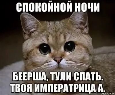 Т п жди п